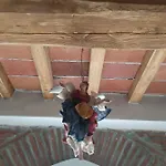 Отель типа 